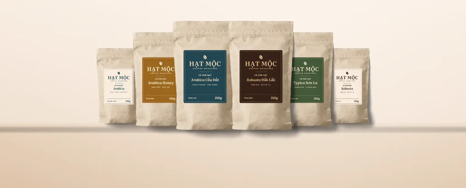 Bộ sưu tập túi giấy kraft cà phê Hạt Mộc xếp hàng trên nền kem
