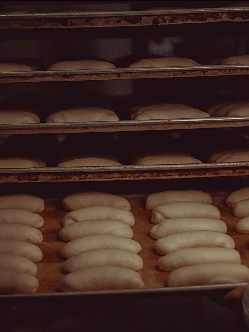 Những ổ sourdough đang ủ trên kệ gỗ