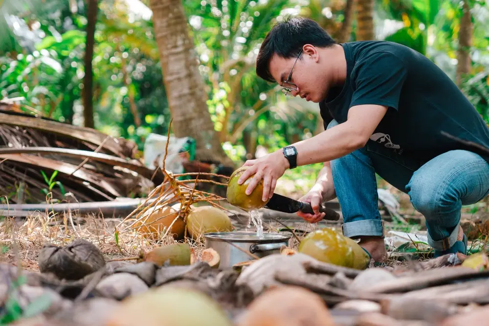 Người nông dân chặt dừa lấy nước trong vườn