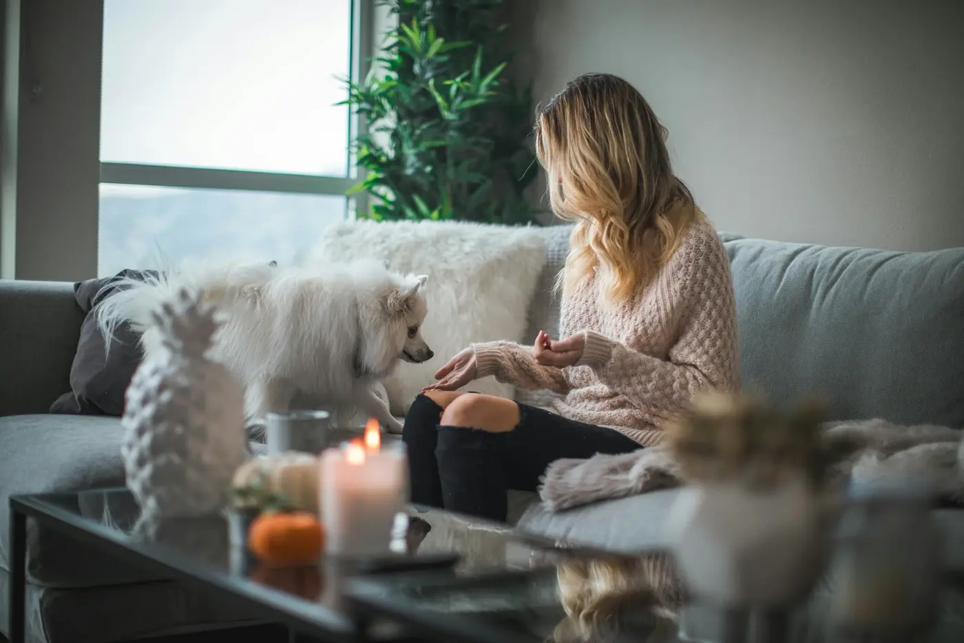 Cô gái ngồi thư giãn trên sofa bên chú chó nhỏ